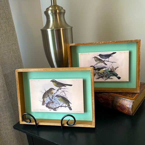 Vintage Style Framed Bird Art Illustrations Set, 2 Piece - Picture 8 of 12